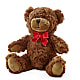 Adorable Plush Bear – Safeway Norcal, Pleasanton CA