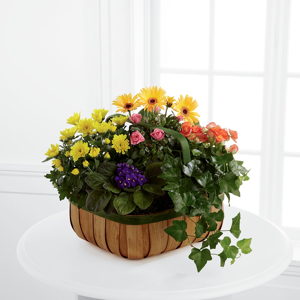 Gentle Blossoms Basket – Safeway Norcal, Pleasanton CA