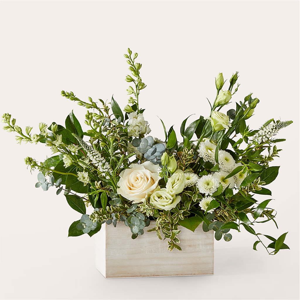 Cashmere Bouquet – Safeway Norcal, Pleasanton CA