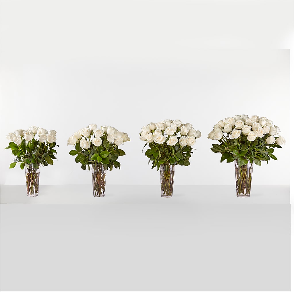 Long Stem White Rose Bouquet – Safeway Norcal, Pleasanton CA