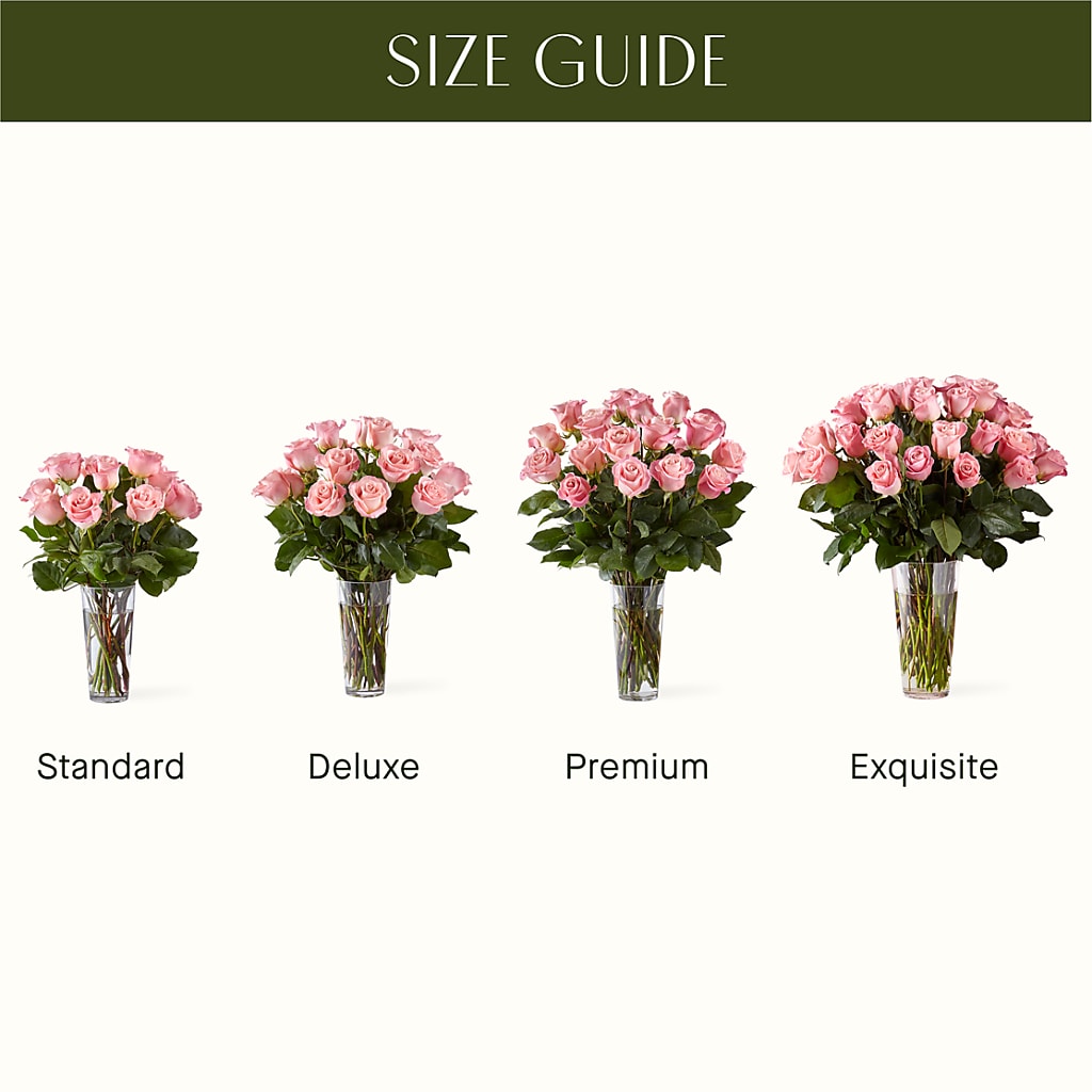 Long Stem Pink Rose Bouquet – Safeway Norcal, Pleasanton CA