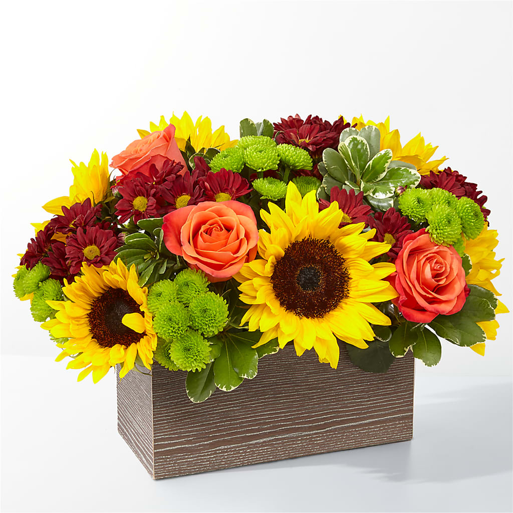 Happy Harvest Garden – Safeway Norcal, Pleasanton CA