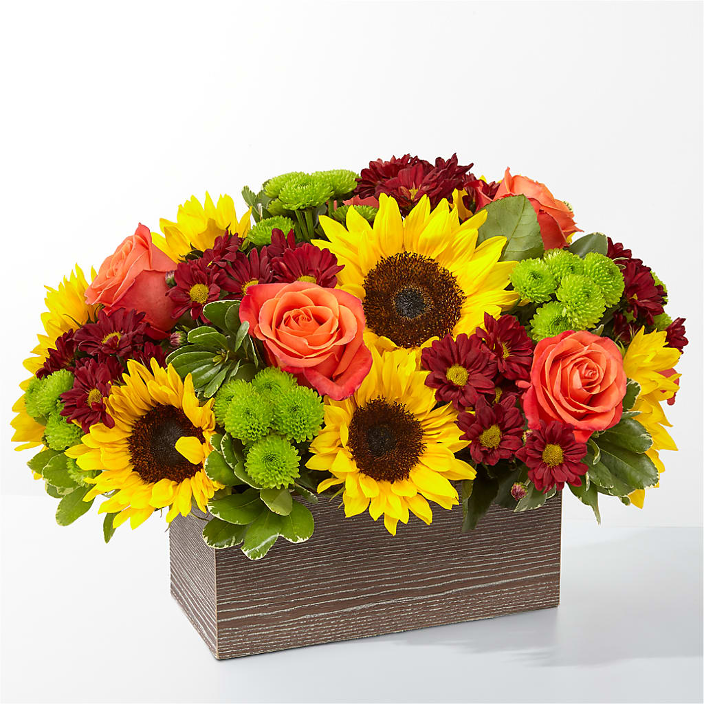 Happy Harvest Garden – Safeway Norcal, Pleasanton CA