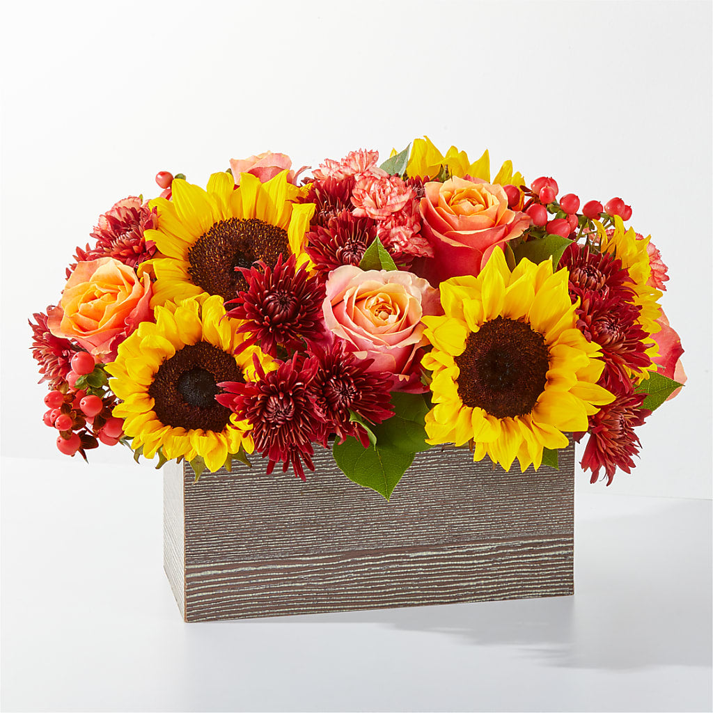 Fresh Cider Bouquet – Safeway Norcal, Pleasanton CA