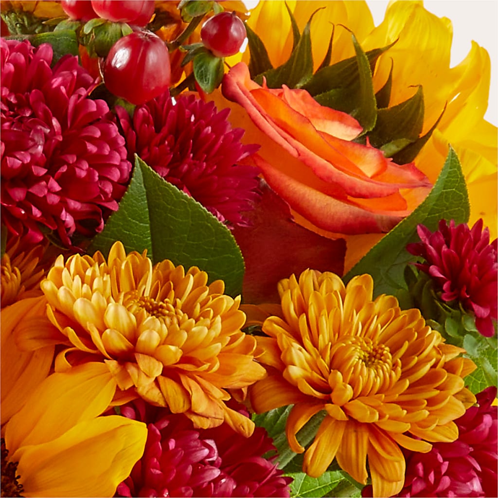 Sweater Season - A Florist Original – Safeway Norcal, Pleasanton CA