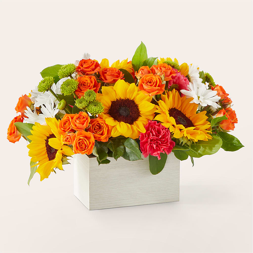 Sun-drenched Blooms Box Bouquet – Safeway Norcal, Pleasanton CA