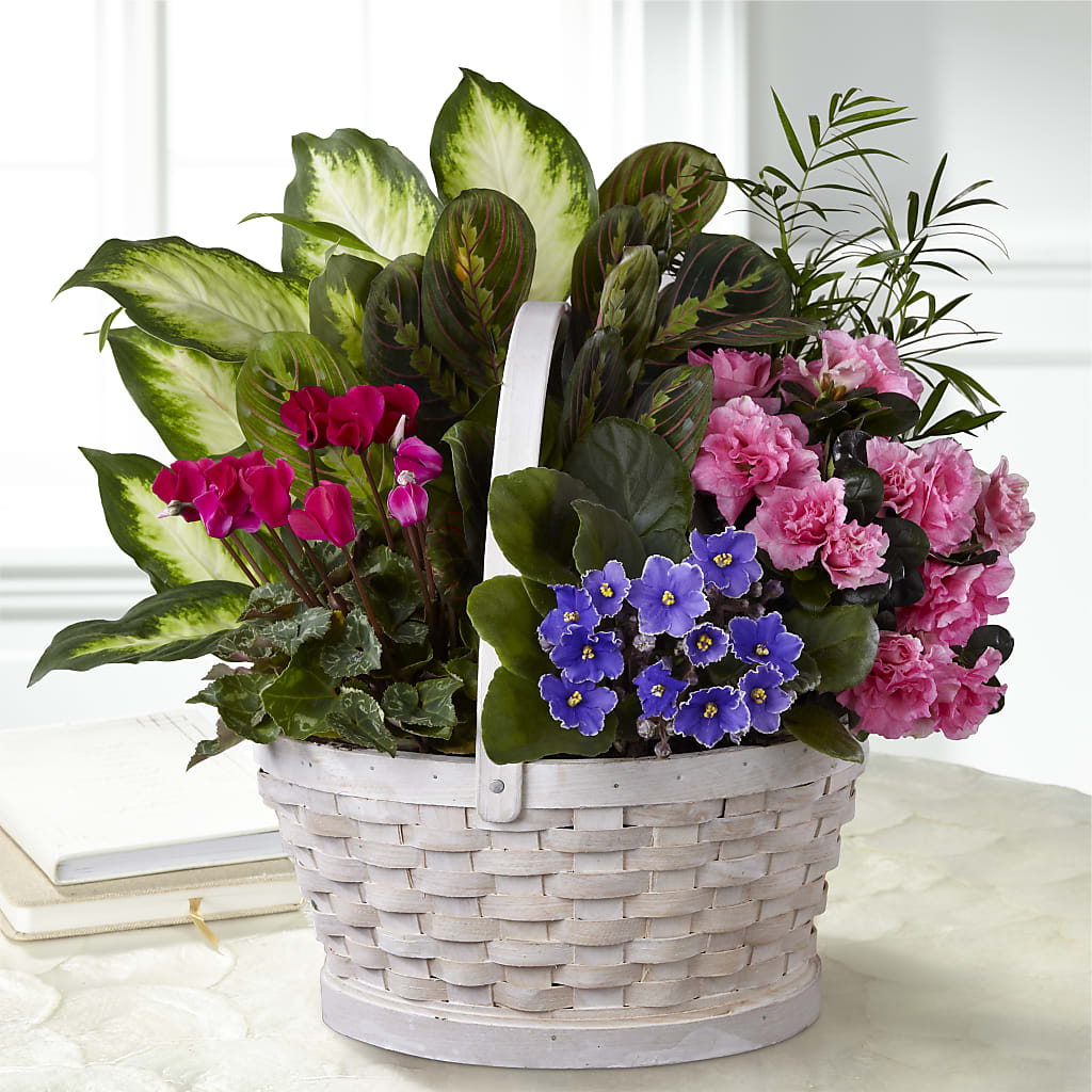 Peaceful Garden Planter – Safeway Norcal, Pleasanton CA
