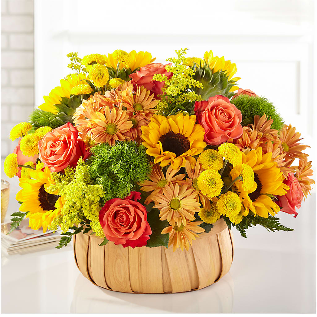 Harvest Sunflower Basket – Safeway Norcal, Pleasanton CA