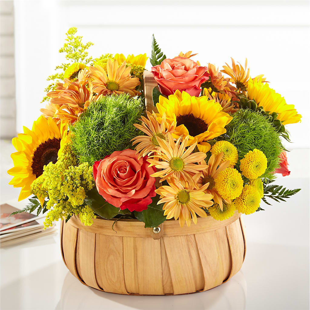 Harvest Sunflower Basket – Safeway Norcal, Pleasanton CA