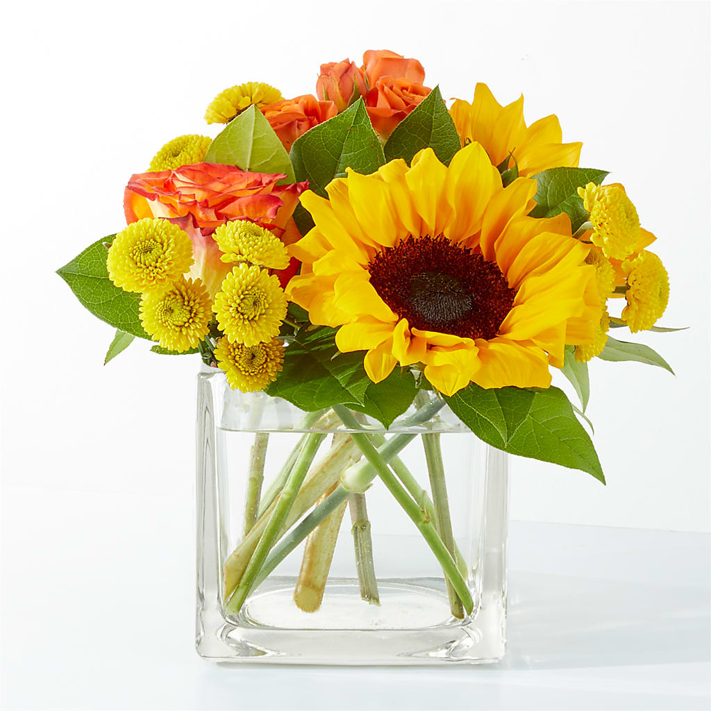 Picnic in the Park Bouquet – Safeway Norcal, Pleasanton CA