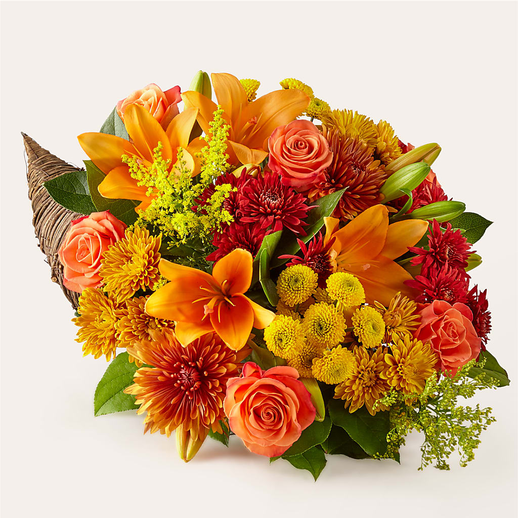 Feast of Color Cornucopia – Safeway Norcal, Pleasanton CA