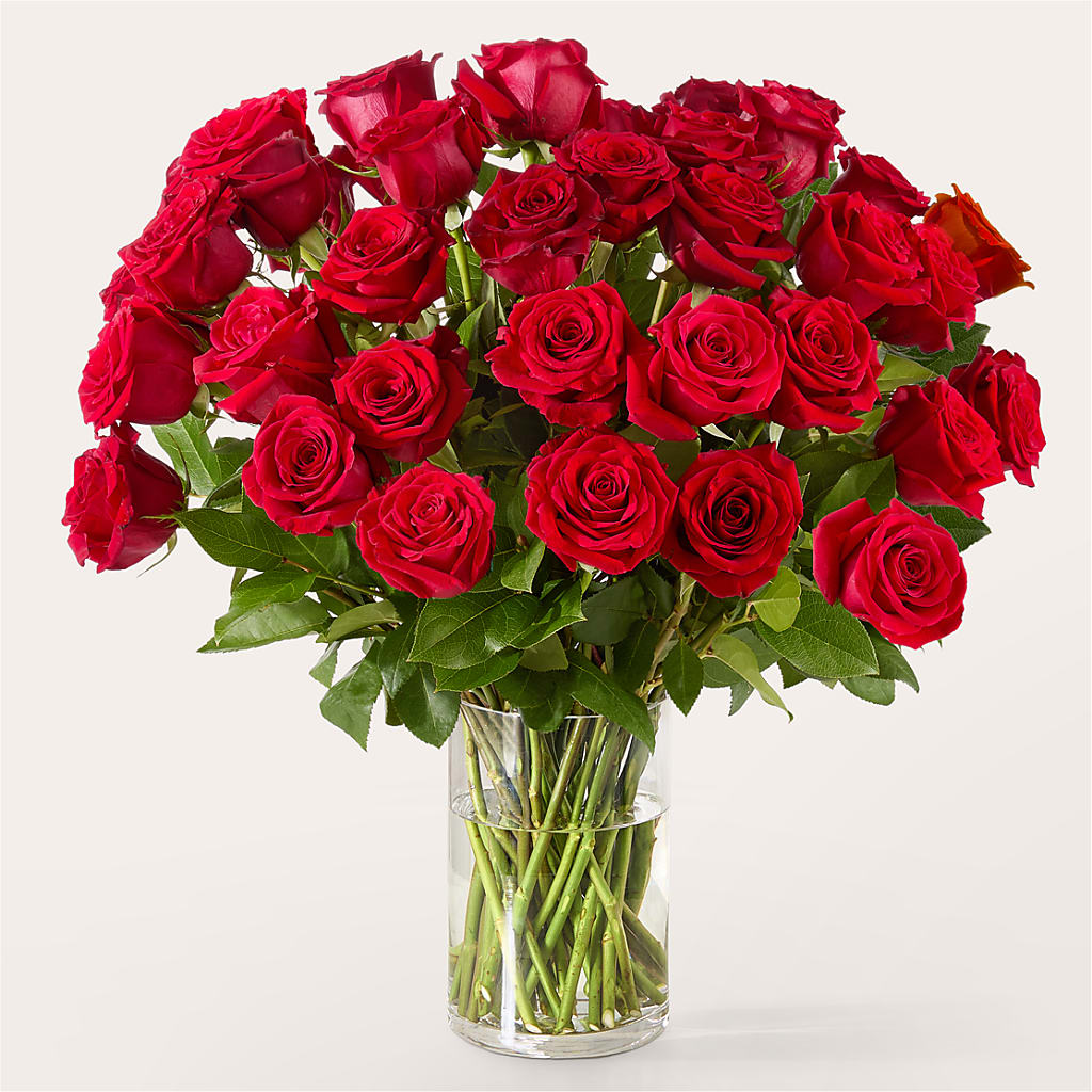 The One Red Rose Bouquet – Safeway Norcal, Pleasanton CA