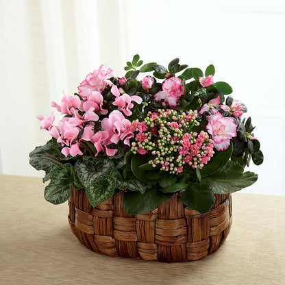 Pink Assortment –  Safeway Norcal, Pleasanton CA