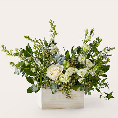 Cashmere Bouquet –  Safeway Norcal, Pleasanton CA