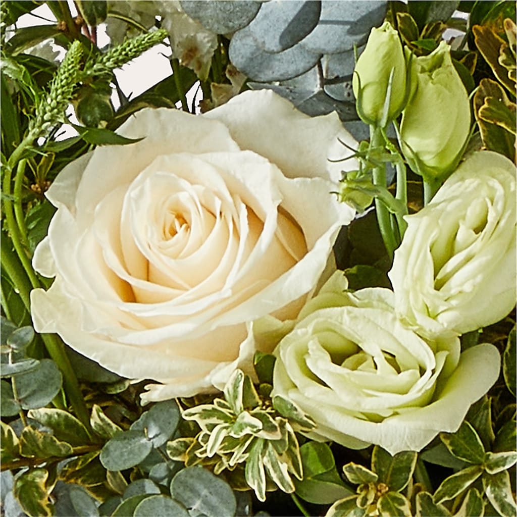 Cashmere Bouquet –  Safeway Norcal, Pleasanton CA