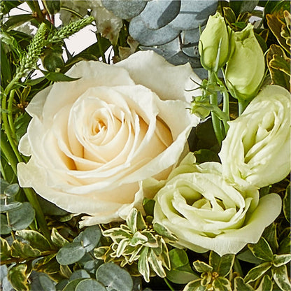 Cashmere Bouquet –  Safeway Norcal, Pleasanton CA