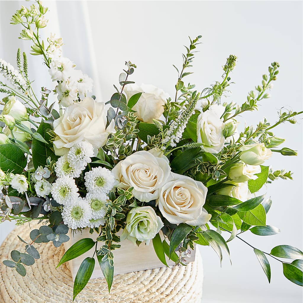Cashmere Bouquet –  Safeway Norcal, Pleasanton CA
