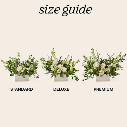 Cashmere Bouquet –  Safeway Norcal, Pleasanton CA