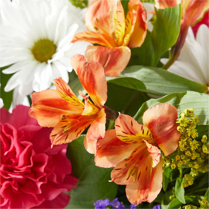 Oopsie Daisy Box Bouquet –  Safeway Norcal, Pleasanton CA