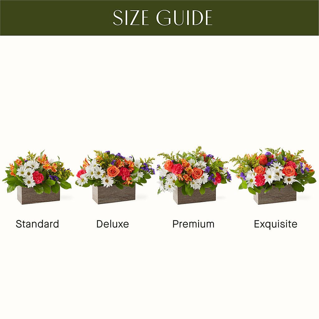Oopsie Daisy Box Bouquet –  Safeway Norcal, Pleasanton CA