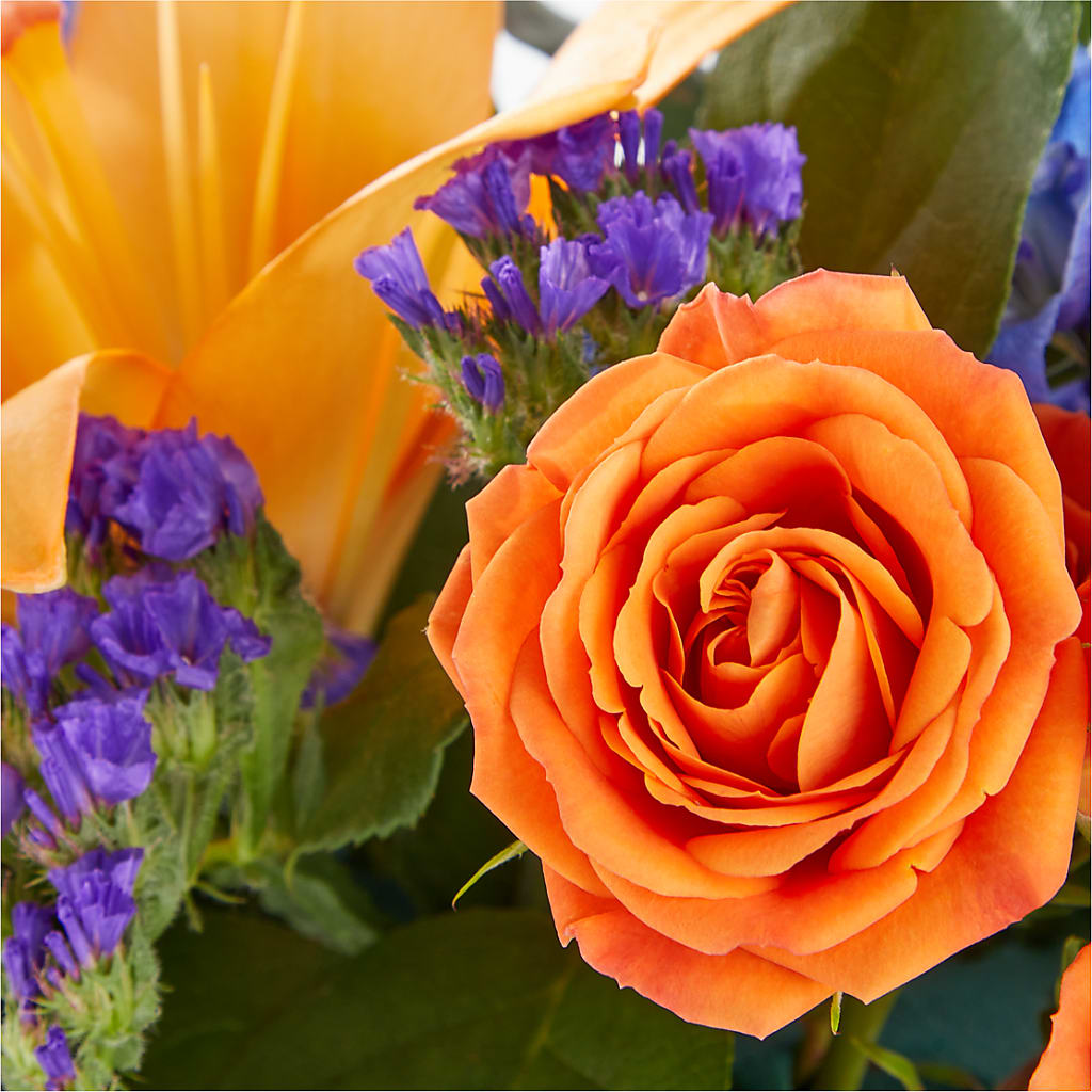 Radiant Citrus Box Bouquet –  Safeway Norcal, Pleasanton CA