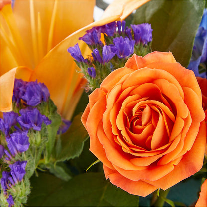 Radiant Citrus Box Bouquet –  Safeway Norcal, Pleasanton CA