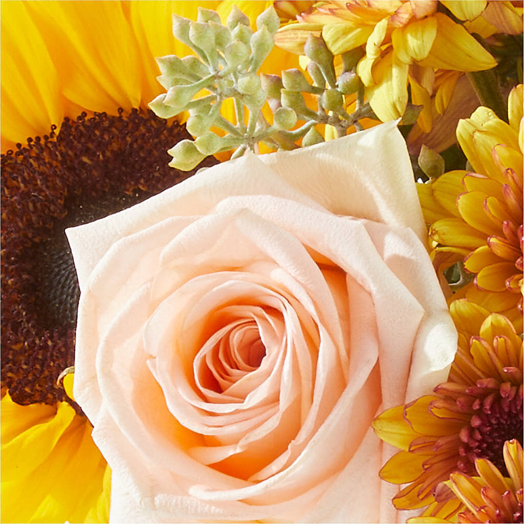 Pumpkin to Talk About Bouquet –  Safeway Norcal, Pleasanton CA
