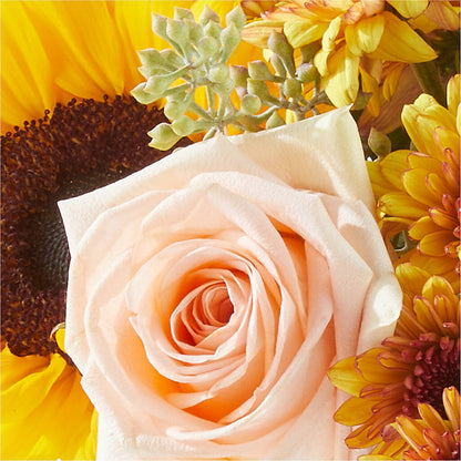 Pumpkin to Talk About Bouquet –  Safeway Norcal, Pleasanton CA