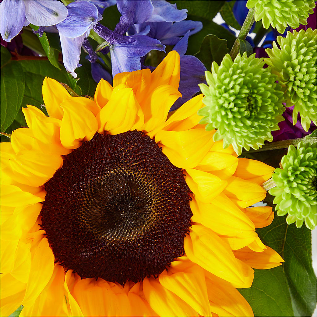 Catching Rays Bouquet –  Safeway Norcal, Pleasanton CA