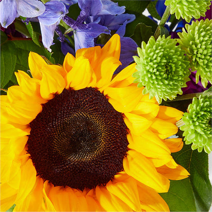 Catching Rays Bouquet –  Safeway Norcal, Pleasanton CA