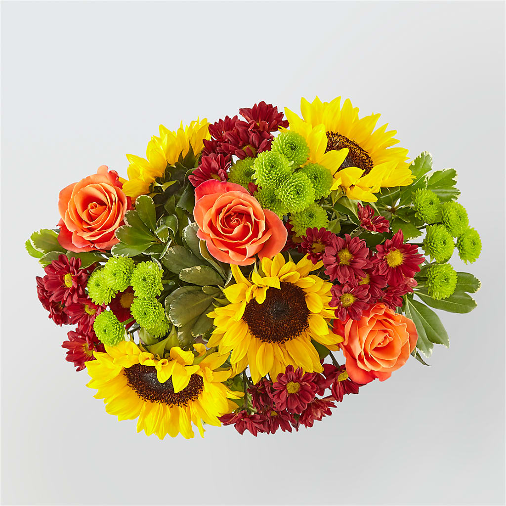 Happy Harvest Garden –  Safeway Norcal, Pleasanton CA