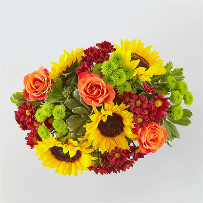 Happy Harvest Garden –  Safeway Norcal, Pleasanton CA