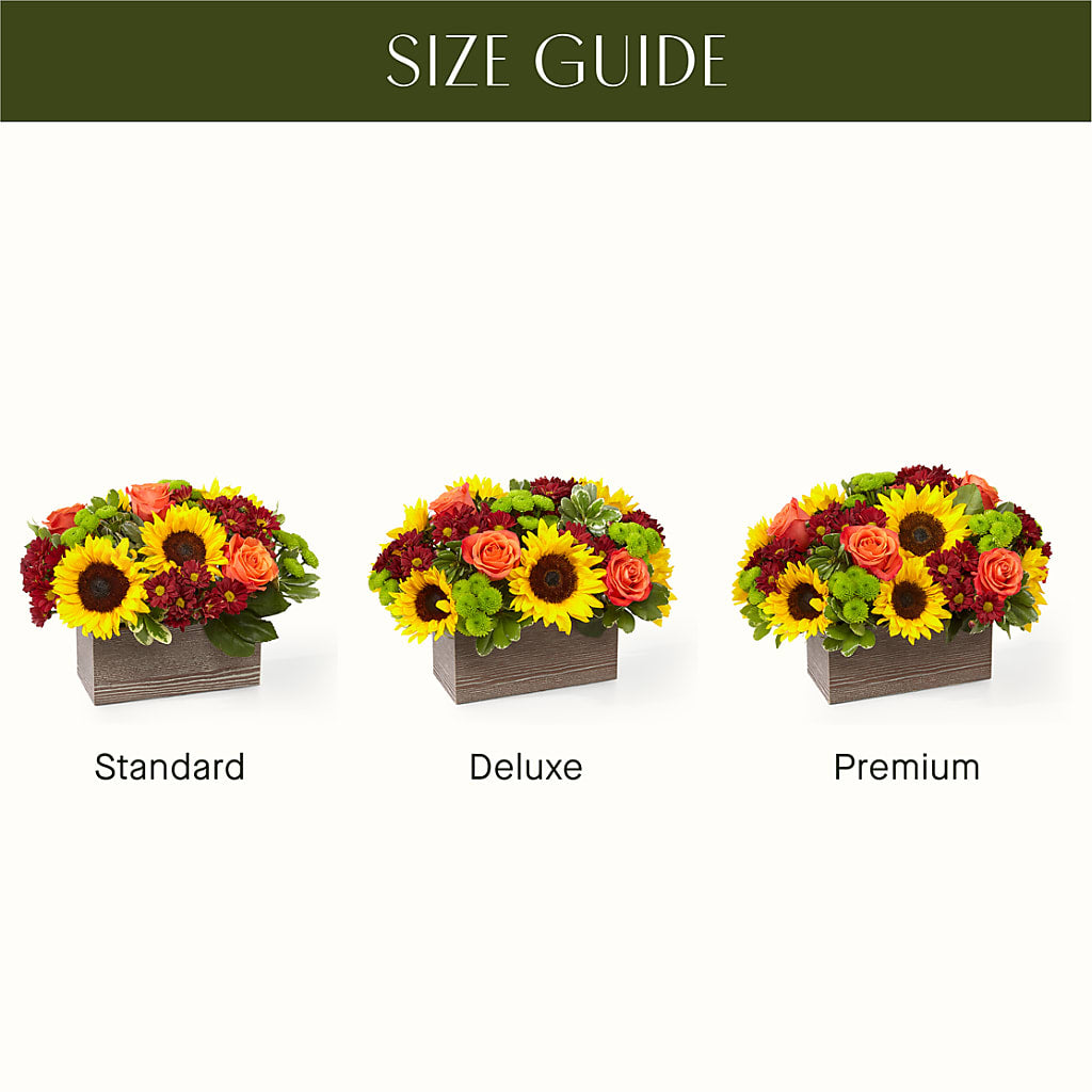 Happy Harvest Garden –  Safeway Norcal, Pleasanton CA