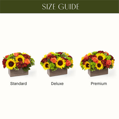 Happy Harvest Garden –  Safeway Norcal, Pleasanton CA