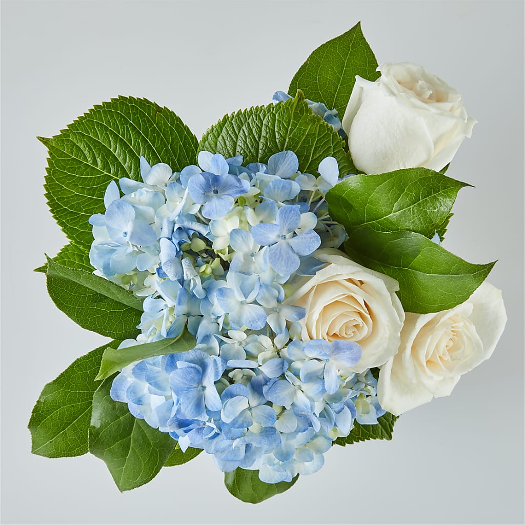 Sky Blue Delight Bouquet –  Safeway Norcal, Pleasanton CA