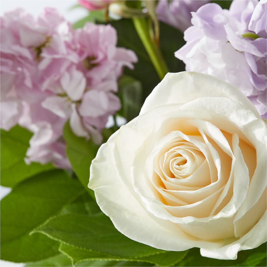 Springtime Spritz Bouquet –  Safeway Norcal, Pleasanton CA