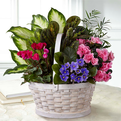 Peaceful Garden Planter –  Safeway Norcal, Pleasanton CA