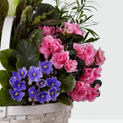 Peaceful Garden Planter –  Safeway Norcal, Pleasanton CA