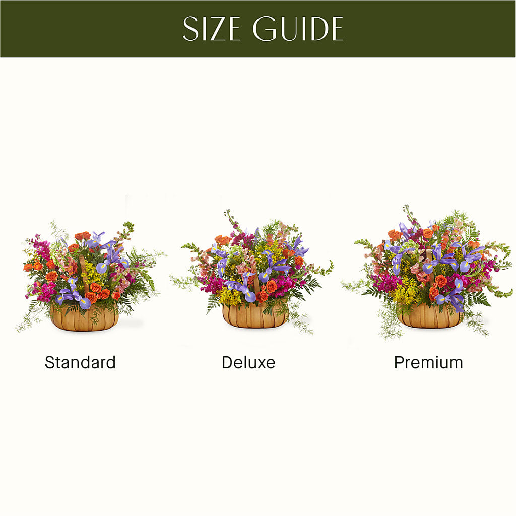 Garden of Life Basket –  Safeway Norcal, Pleasanton CA