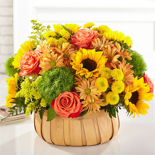 Harvest Sunflower Basket –  Safeway Norcal, Pleasanton CA