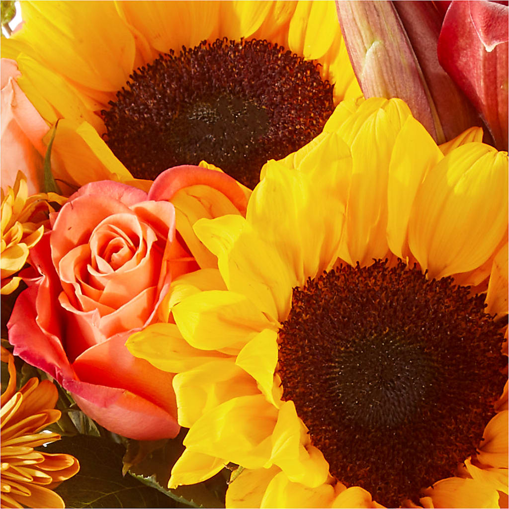 Acorn Lane Bouquet –  Safeway Norcal, Pleasanton CA