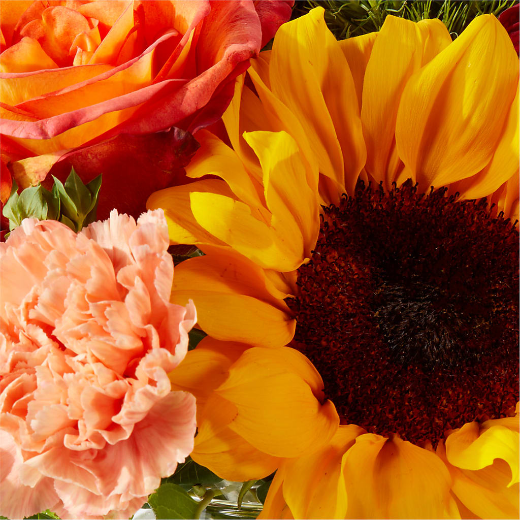 Harvest Festival Bouquet –  Safeway Norcal, Pleasanton CA