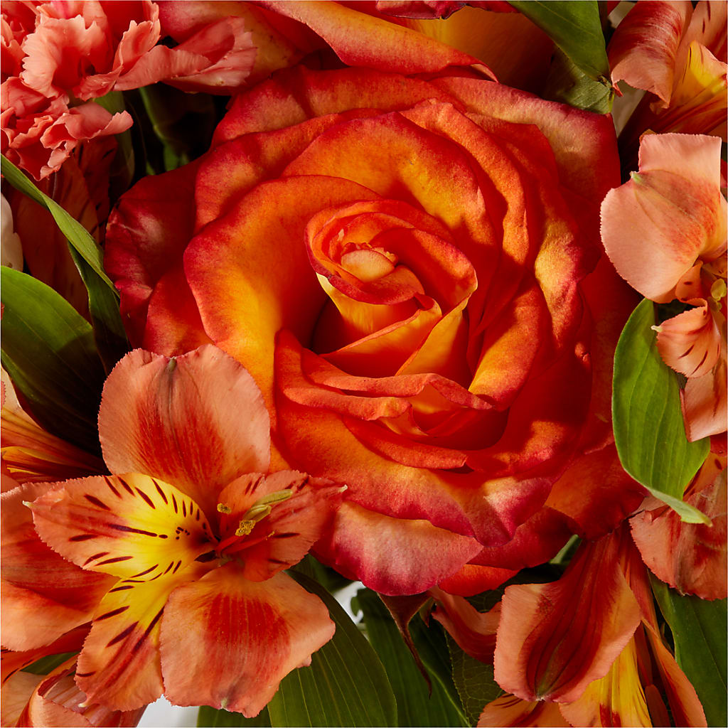 Apricot Glow Bouquet –  Safeway Norcal, Pleasanton CA