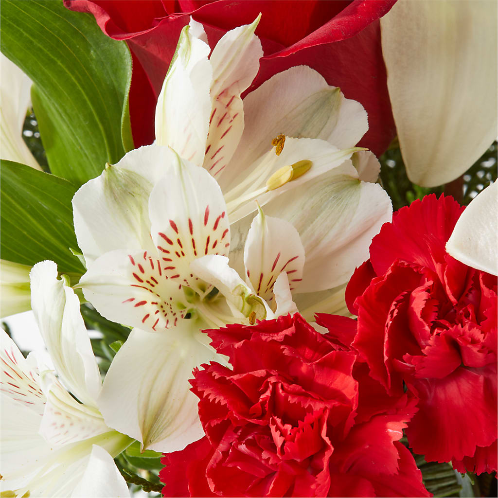 Holiday Season Bouquet –  Safeway Norcal, Pleasanton CA