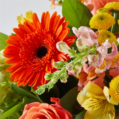 Autumn Sunshine Bouquet –  Safeway Norcal, Pleasanton CA