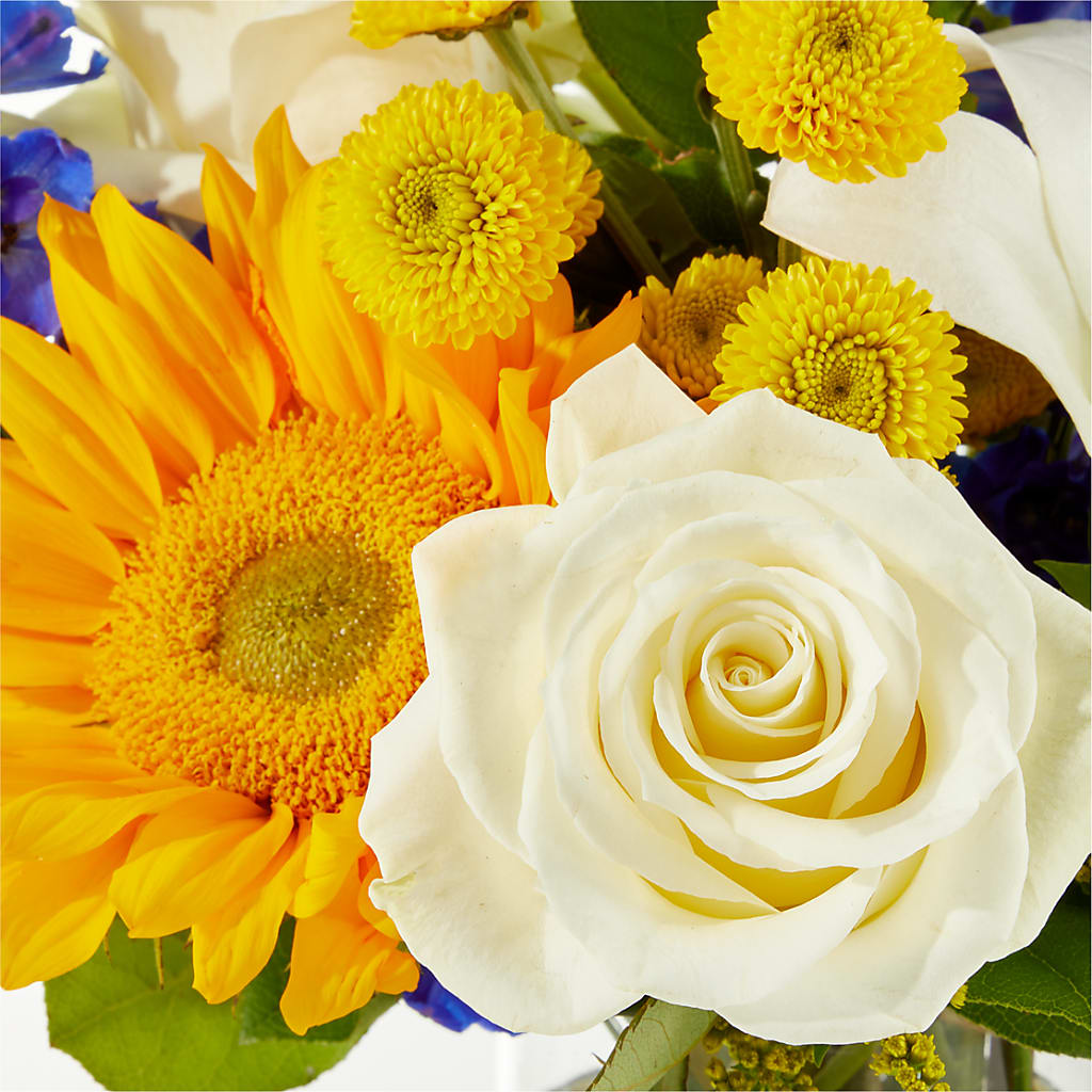 Stargazing Bouquet –  Safeway Norcal, Pleasanton CA