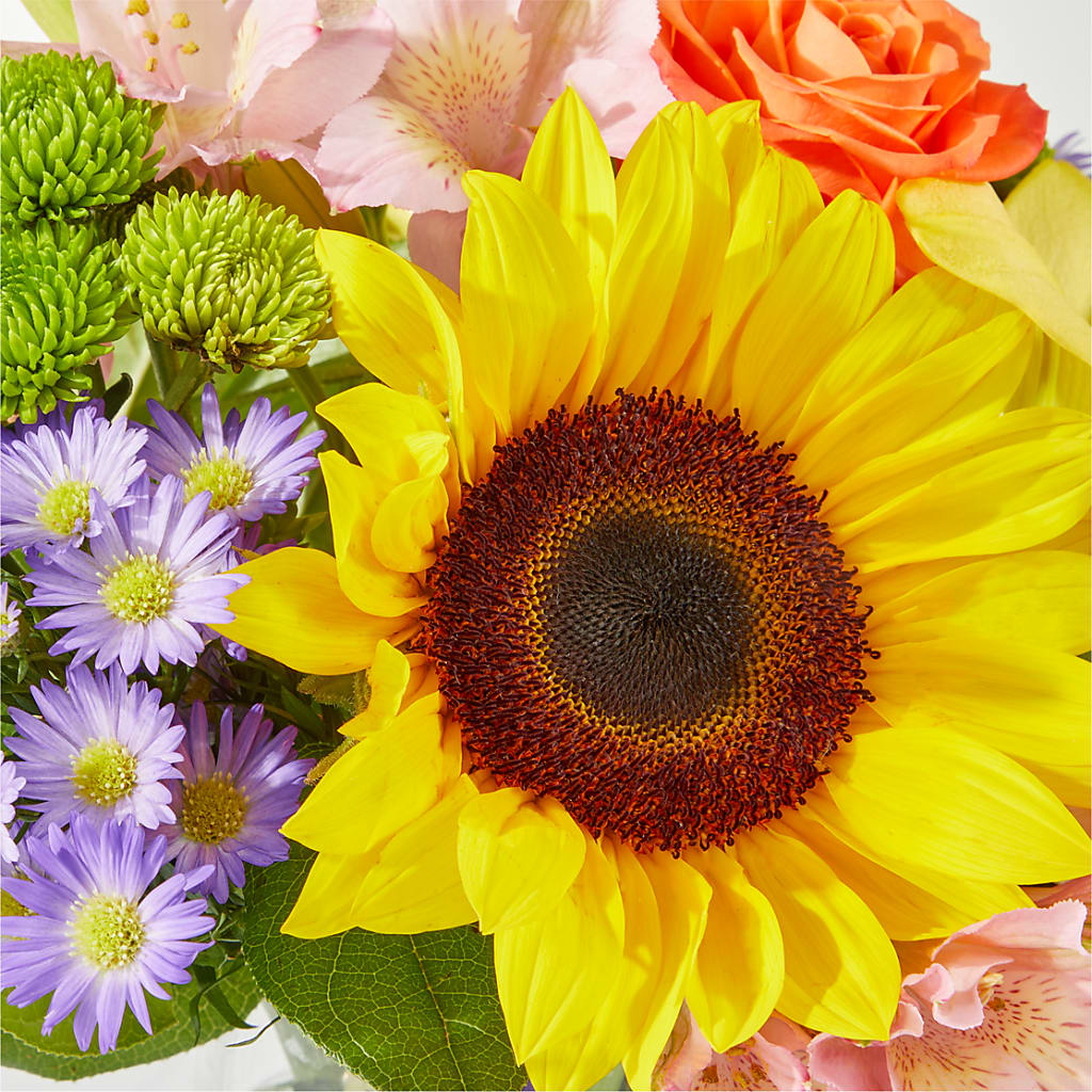 Basking in the Glow Bouquet –  Safeway Norcal, Pleasanton CA