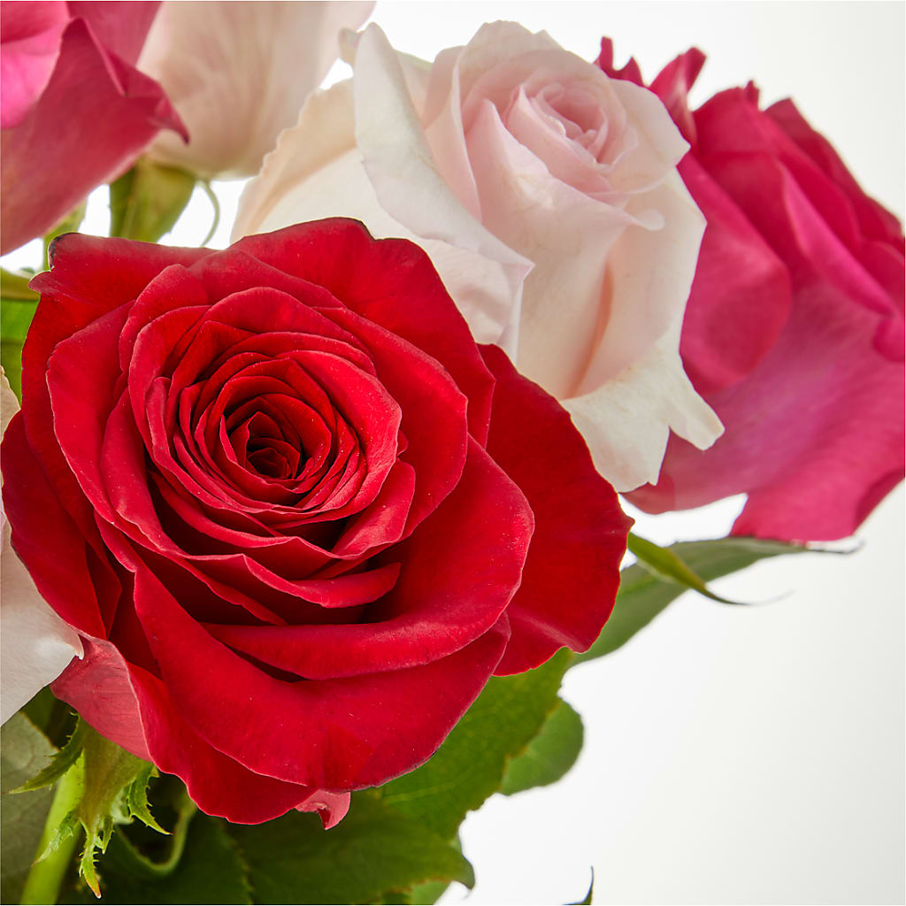 Charming Rose Bouquet –  Safeway Norcal, Pleasanton CA