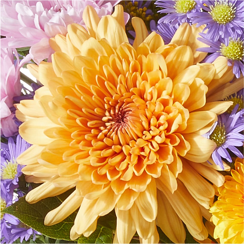 Countryside Bouquet –  Safeway Norcal, Pleasanton CA