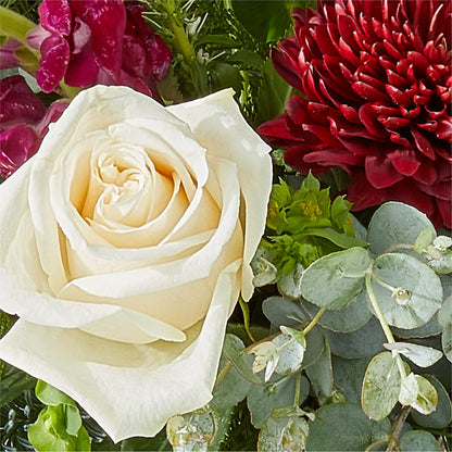 Cranberry Fizz Bouquet –  Safeway Norcal, Pleasanton CA